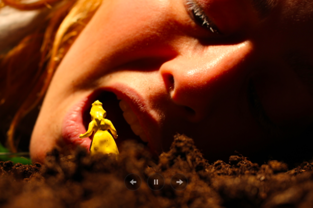 IF_foto1