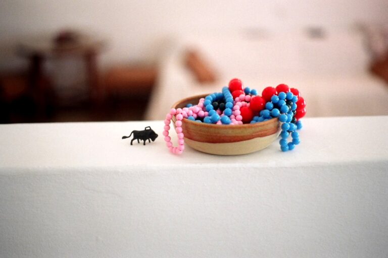 Photo by Tamara Erde