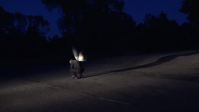 Film screening: “Escape – a night walk with a lost soul”