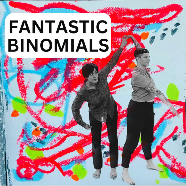 fantasticl binomials visual